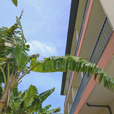 Garden Palace Downtown Koror Eksteriør billede