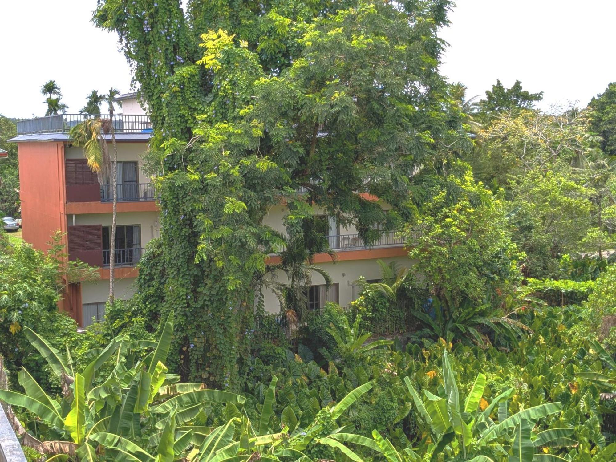 Garden Palace Downtown Koror Eksteriør billede